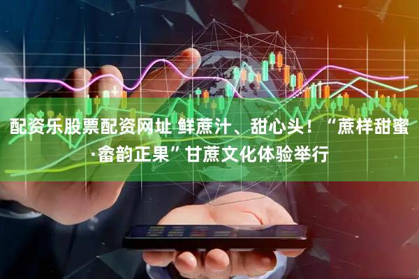 配资乐股票配资网址 鲜蔗汁、甜心头！“蔗样甜蜜·畲韵正果”甘蔗文化体验举行