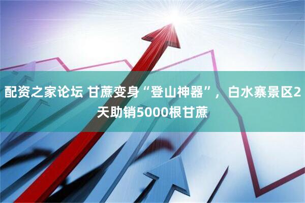配资之家论坛 甘蔗变身“登山神器”，白水寨景区2天助销5000根甘蔗